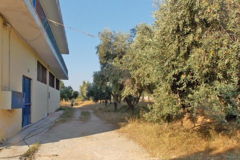 3000m² Land in Pallini, Greece No. 60197 4