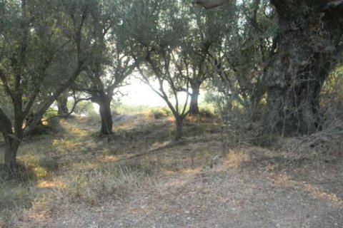 Land in Zakynthos, Greece No. 24695 3