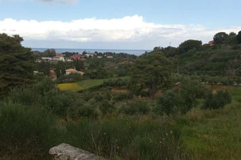 Land in Zakynthos, Greece No. 24694 10