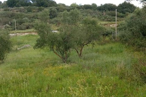 Land in Zakynthos, Greece No. 24694 12