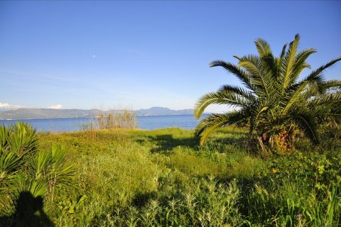 7800m² Land en Corfu, Greece No. 60436 7