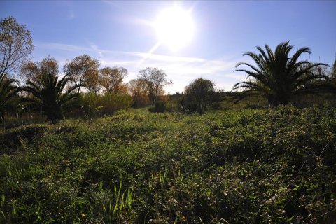 7800m² Land in Corfu, Greece No. 60436 4