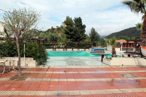 2331m² Hotel à Chalkidiki, Greece No. 60414 18