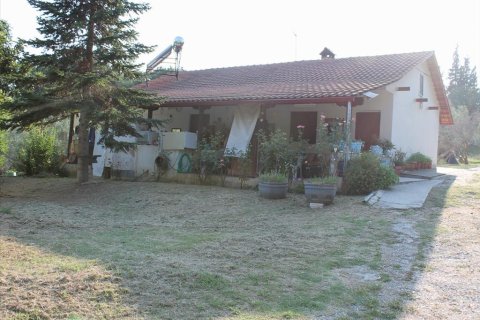 2 chambres House à Pieria, Greece No. 58547 11