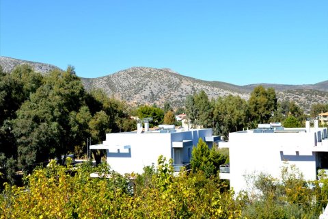 5 bedrooms House in Marathon, Greece No. 58441 11