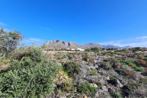 40453m² Land en Chania, Greece No. 54924 5