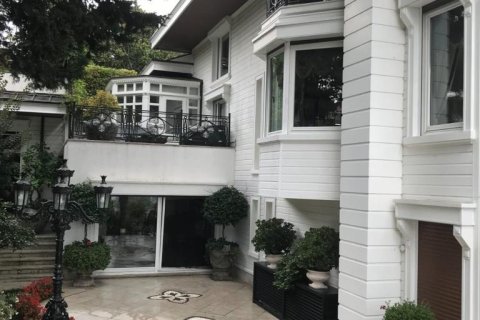 6+2 Villa en Istanbul, Turkey No. 15828 2