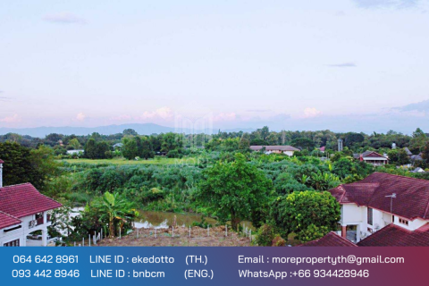 20 bedrooms Land in Chiang Mai, Thailand No. 2169 9