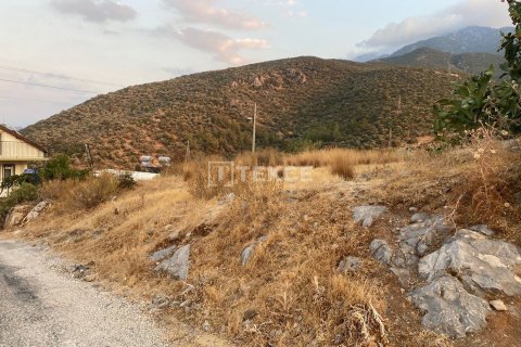 553m² Land en Fethiye, Turkey No. 12119 5