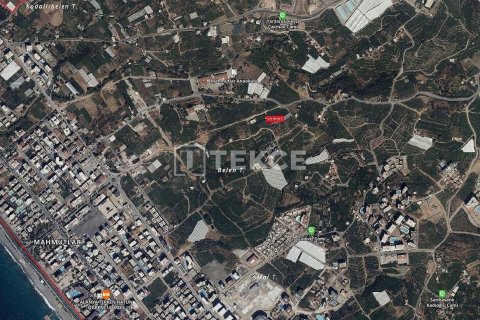 1266m² Land in Alanya, Turkey No. 52824 2