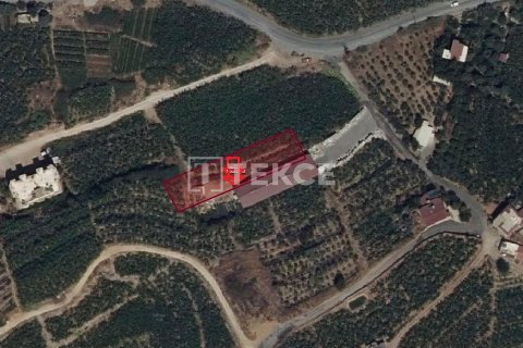 1266m² Land in Alanya, Turkey No. 52824 1