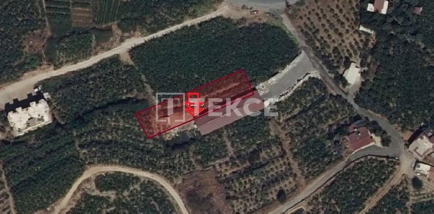 1266m² Land in Alanya, Turkey No. 52824