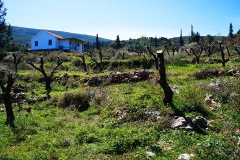 Land à Zakynthos, Greece No. 24526 2