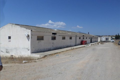 22000m² Land à Megara, Greece No. 59145 4