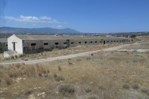 22000m² Land in Megara, Greece No. 59145 7