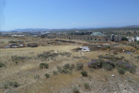 22000m² Land in Megara, Greece No. 59145 6