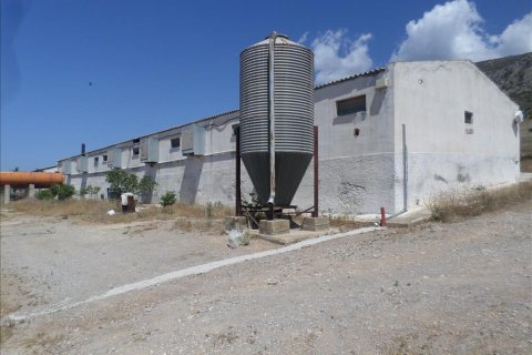 22000m² Land in Megara, Greece No. 59145 1