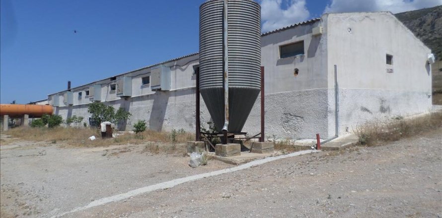 22000m² Land en Megara, Greece No. 59145