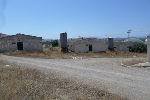 22000m² Land en Megara, Greece No. 59145 3