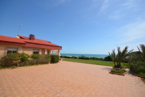 7 bedrooms Villa in Torrevieja, Spain No. 27530 22