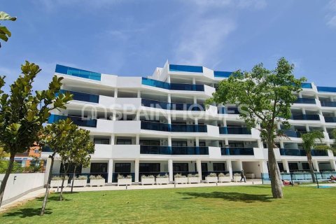 3 chambres Penthouse à Mijas, Spain No. 25662 6