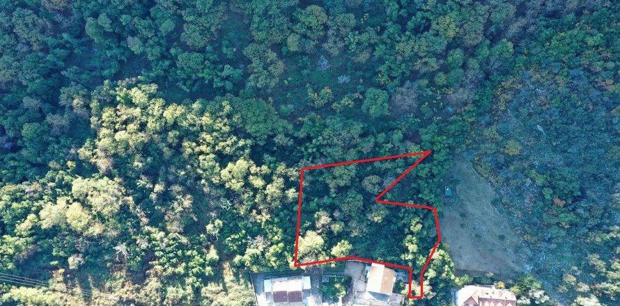 2150m² Land in Kotor, Montenegro No. 66965