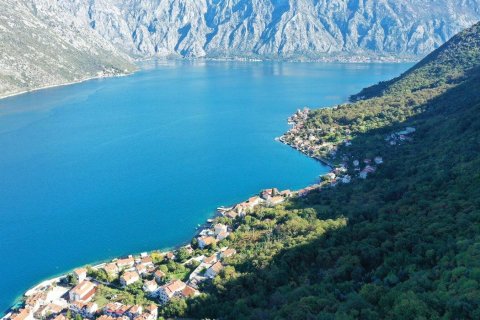 2150m² Land in Kotor, Montenegro No. 66965 5