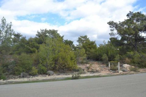 17382m² Land in Souni–Zanatzia, Cyprus No. 77816 1