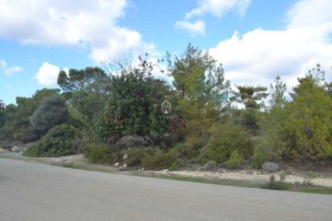 17382m² Land in Souni–Zanatzia, Cyprus No. 77816 2
