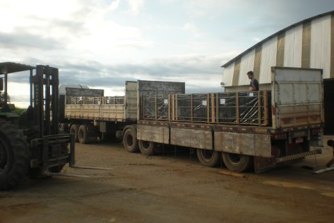 3 dormitorios Factory en Ariquemes, Brazil No. 62388 11