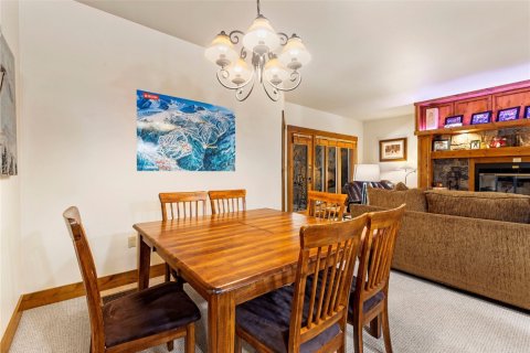 3 bedrooms Condo  in Keystone, USA No. 62355 10