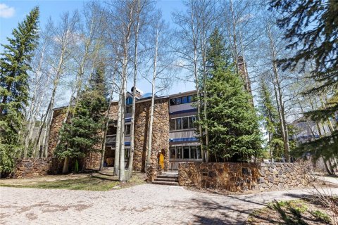 3 chambres Copropriété  à Keystone, USA No. 62355 25