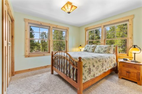 4 dormitorios House en Leadville, USA No. 62354 19