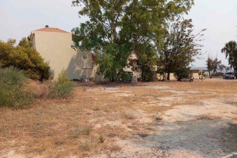 805m² Land in Megara, Greece No. 55312 3