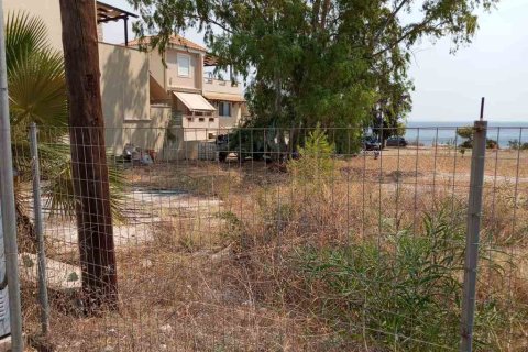 805m² Land in Megara, Greece No. 55312 2