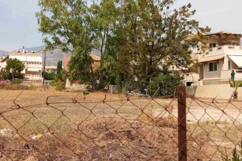 805m² Land en Megara, Greece No. 55312 6