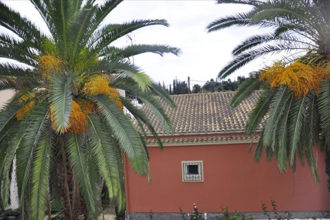 4 chambres House à Corfu, Greece No. 60084 20