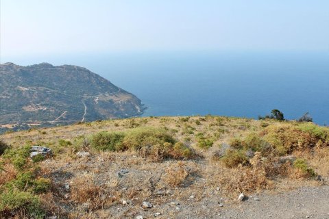 13000m² Land in Euboea, Greece No. 60116 10