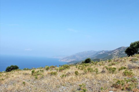 13000m² Land in Euboea, Greece No. 60116 9