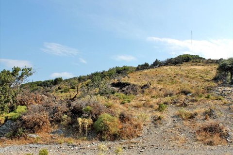 13000m² Land in Euboea, Greece No. 60116 4