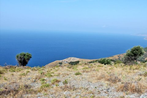 13000m² Land in Euboea, Greece No. 60116 5