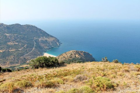 13000m² Land in Euboea, Greece No. 60116 3