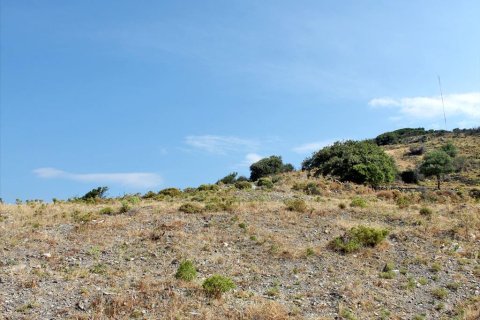 13000m² Land in Euboea, Greece No. 60116 8