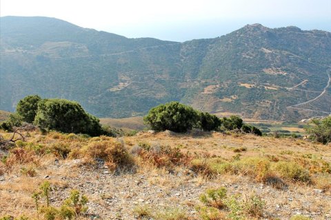 13000m² Land en Euboea, Greece No. 60116 6