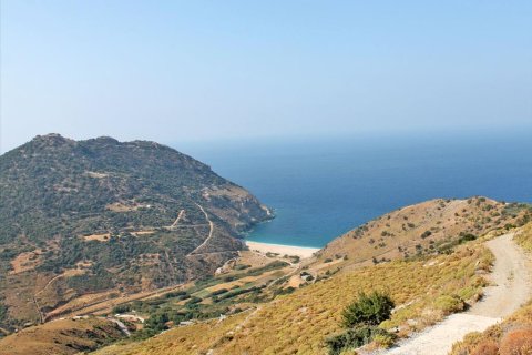 13000m² Land in Euboea, Greece No. 60116 2