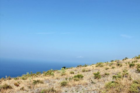 13000m² Land à Euboea, Greece No. 60116 7