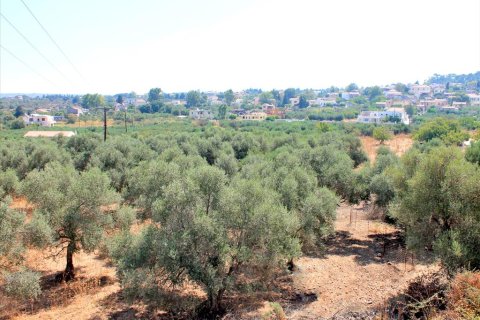 8243m² Land in Vamos, Greece No. 60118 2