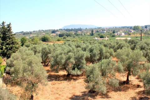 8243m² Land en Vamos, Greece No. 60118 1