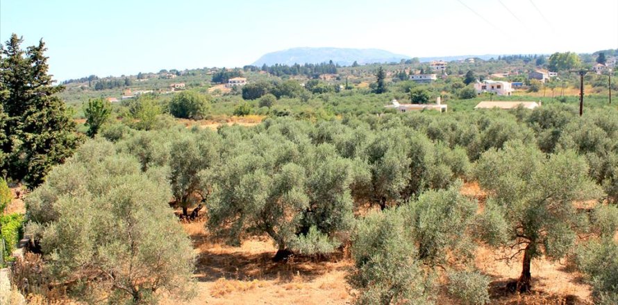 8243m² Land in Vamos, Greece No. 60118