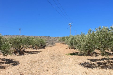 8000m² Land en Heraklion, Greece No. 60113 5